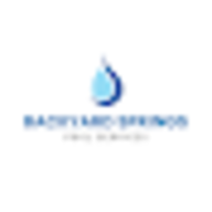 Backyard Springs Pool Services logo