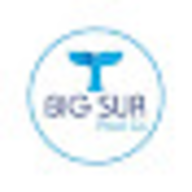Big Sur Pool Co. logo