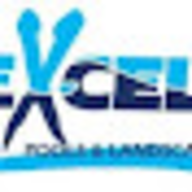 Excel Pools & Landscaping logo