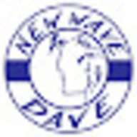 New Wave Dave Pool Service logo