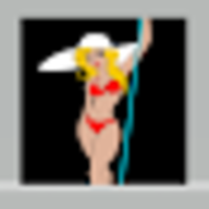 The Pool Lady logo